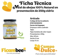 Miel de abejas 100% Natural presentación de 250gr