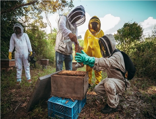 Servicio de asistencia tecnica en Campo